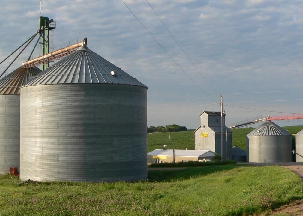 #21. Wayne County